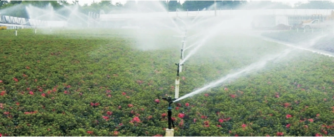 Agricultural Garden Plastic Impact Sprinklers Irrigation for Irrigation System