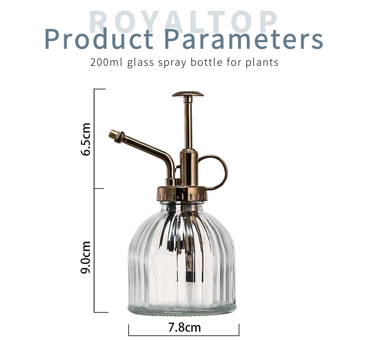 Mini Plant Mister 200ml Glass Spray Bottle One Hand Operated Glass Watering Can with Top Plastic Pump Head