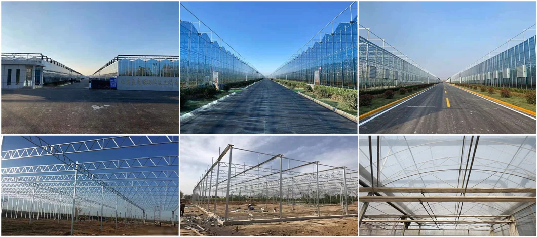 Agricultural Multi Span Venlo Glass Greenhouse for Flowers