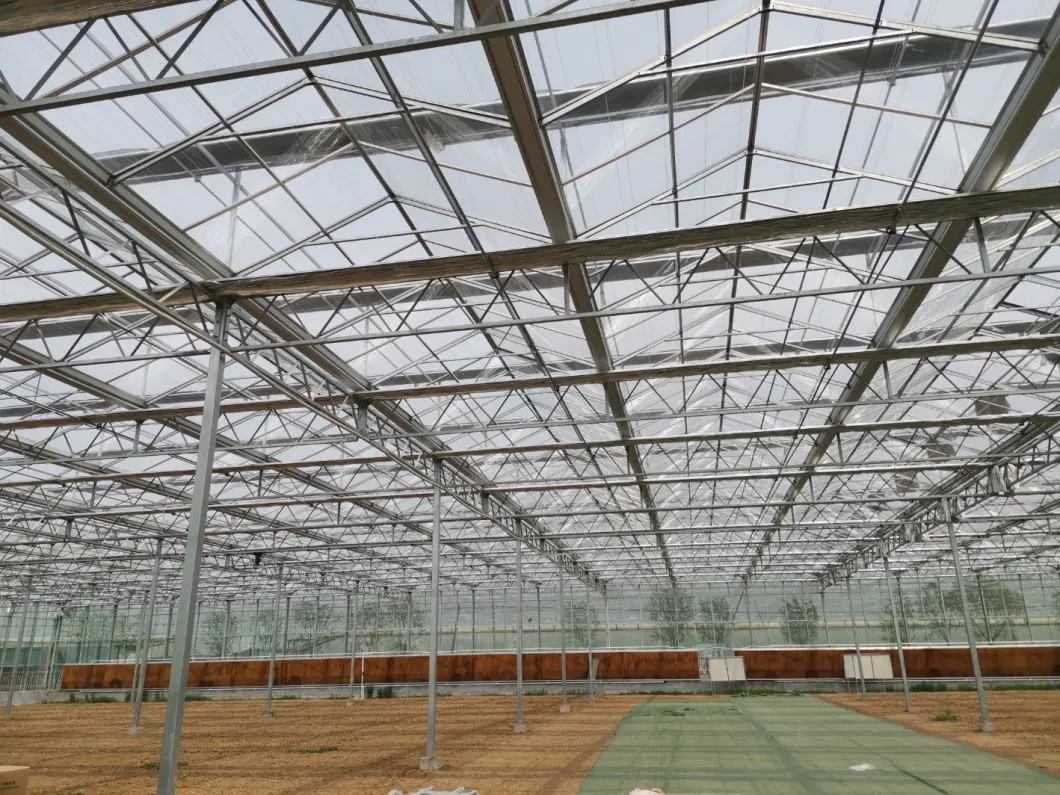 Agricultural Multi Span Venlo Glass Greenhouse for Flowers