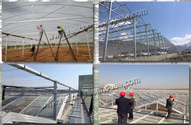 Micro Sprinkler Irrigation Greenhouse China Manufacturer