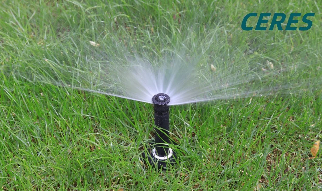 Plastic Pop up Super Sprinkler with Scattering Nozzle for Feild Irrigation System