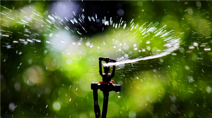 Pressure Compensating Micro Sprinkler Installed on Spike