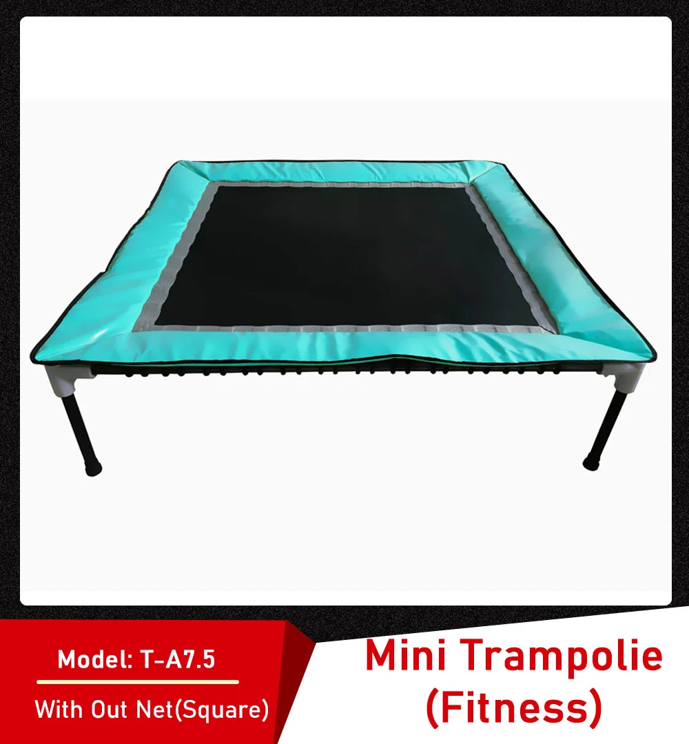 Tranpoline for Adults and Kids, 1500lbs Capacity for 10 Kids, Recreational Tranpoline with Light, Sprinkler, Enclosure Net