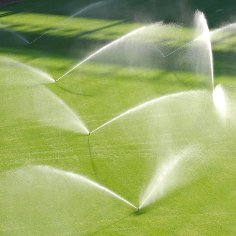 Cost-Effective Plastic Mini Rotating Micro Sprinkler Irrigation System for Greenhouse