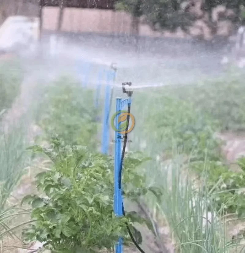 Wholesale Agriculture Hanging Micro-Spraying Equipment 360 Degrees Rotation Sprinkler Irrigation