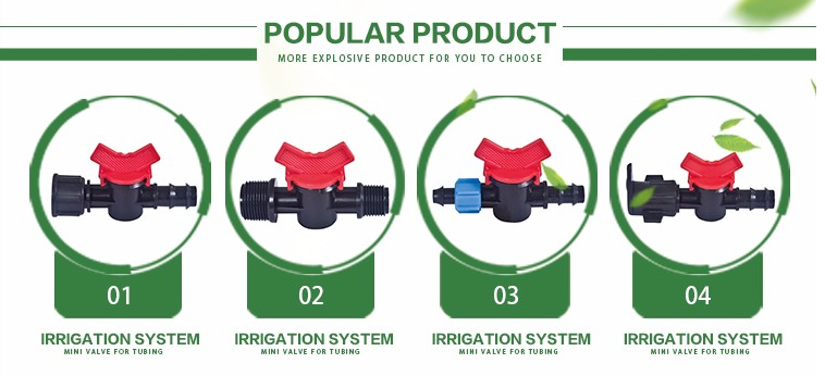 Bubbler Drip Agricultural Irrigation Valve System