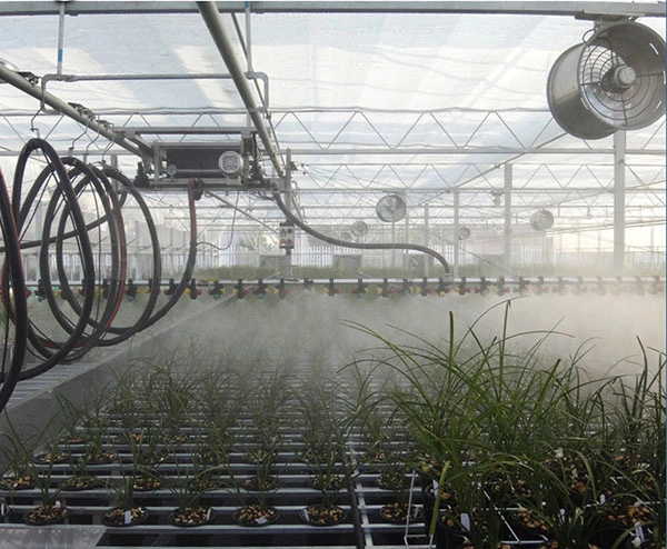 Dripping Irrigation System for Greenhouse