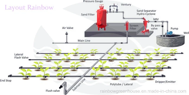 Dripping Irrigation System for Greenhouse