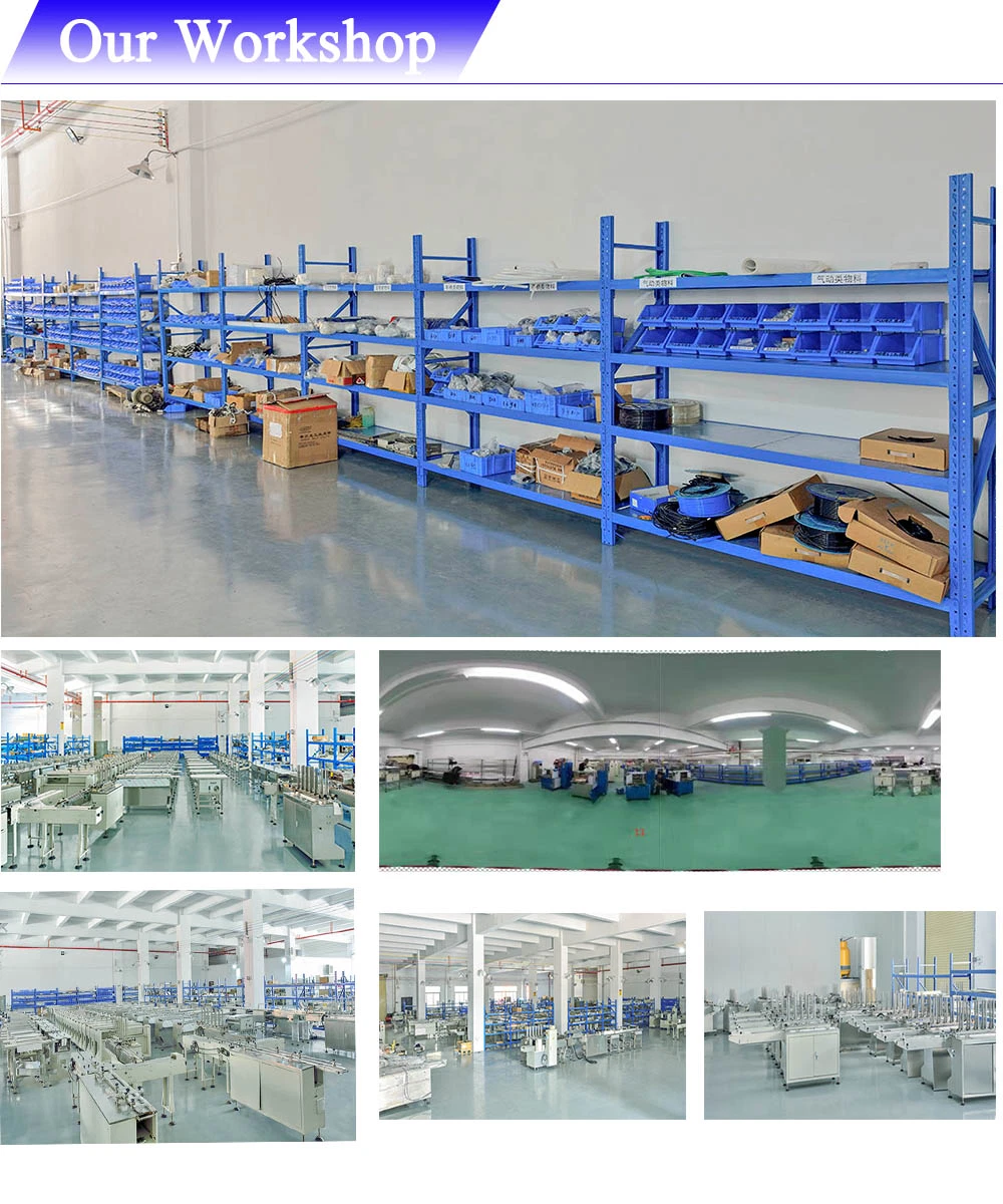 Biscuits/Instant Noodles/Rolls/Buns/Tin Bread/Hot Dog/Burger/Bakery Products Food Horizontal Wrapping Machine