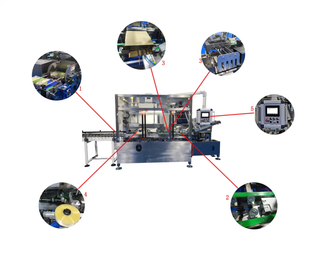 Automatic Box Case Carton Packing and Packaging Machine for Seasoning and Condiments