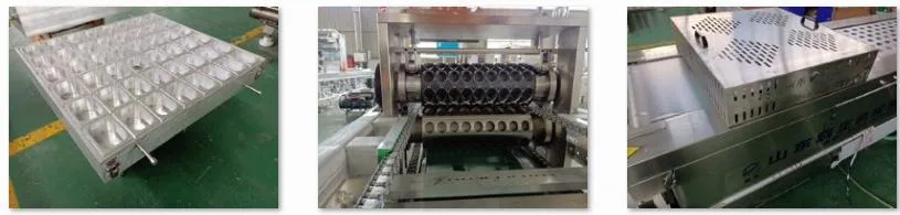 Date Cheese Sausage Vacuum Thermoforming Packaging Machine Automatic Thermoform Pack Machine