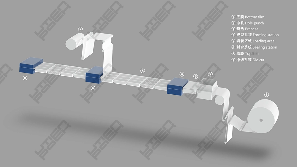 Food Plastic Thermoform Vacuum Packaging Machine with CE