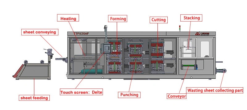 PLA Plastic Glass Sheet Thermoform Machine for Production Mini Fruit Biscuit Hardware Takeaway Packaging Box