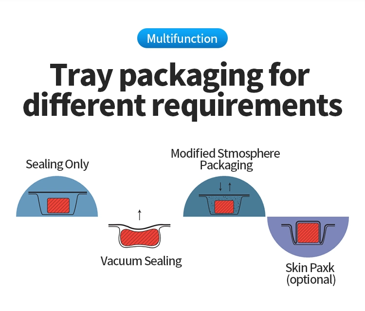 Hvt-450m/2 Hualian Manufacturer Automatic Food Tray Vacuum Packaging Packing Machine