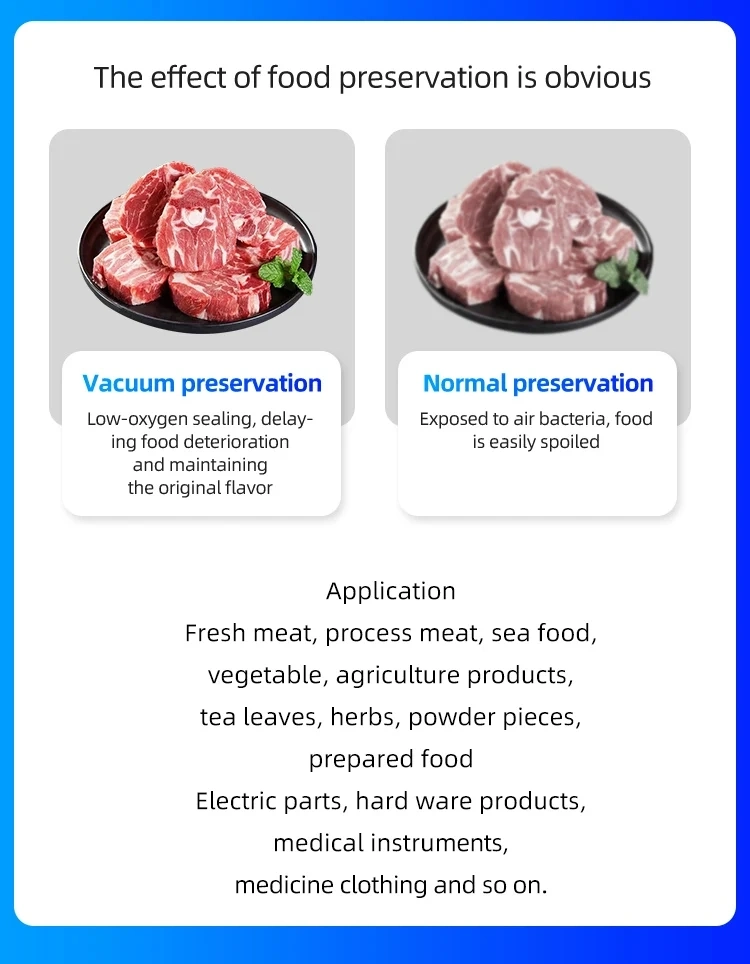 Dz-500 Double Chamber Vacuum Sealer Packaging with Fish Steak Vacuum Sealing Machine Electric CE Provided 1 Set