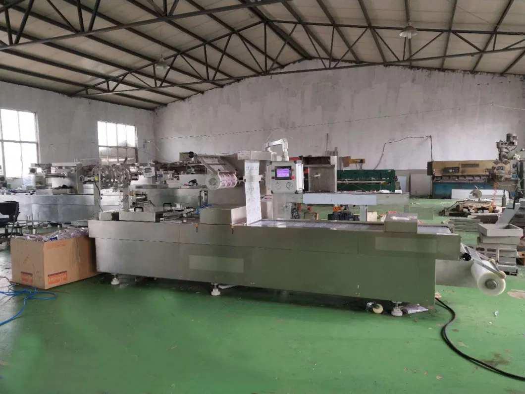 Dry Fish Packing Vacuum Sealer Machine