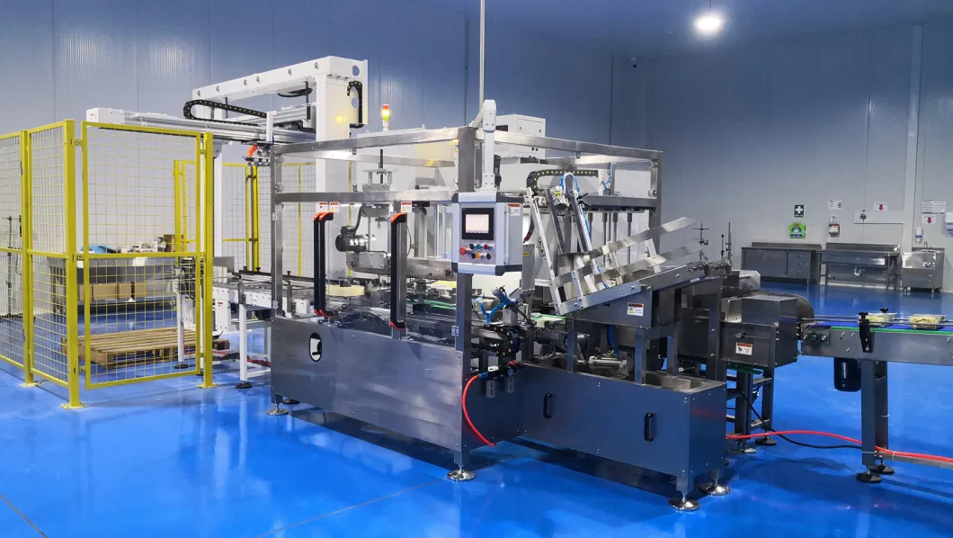 Automatic Box Case Carton Packing and Packaging Machine for Seasoning and Condiments