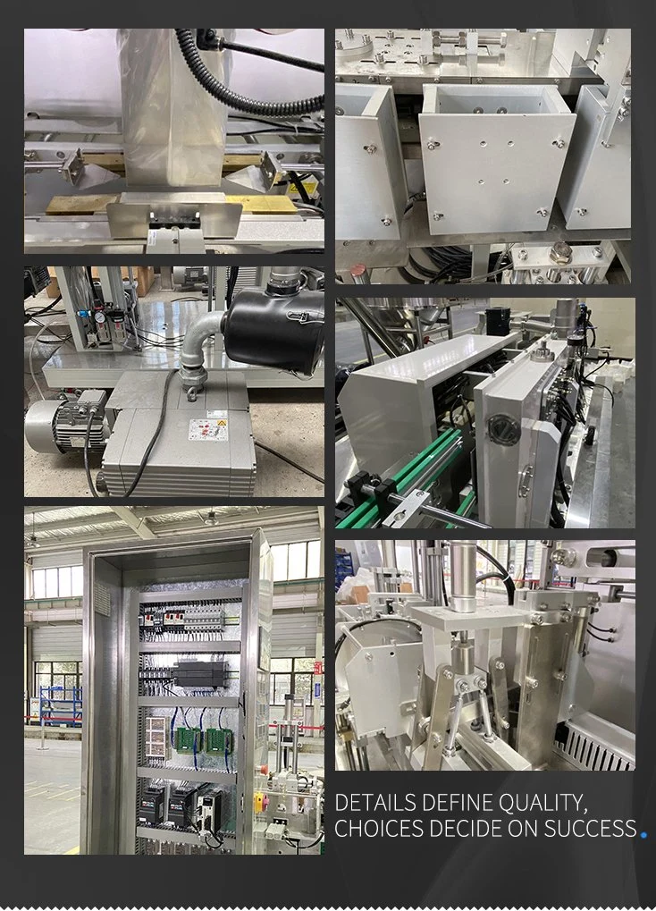 Medicinal Powder Automatic Vacuum Packaging Machine Pharmaceutical Packaging Pouches Packing Machinery Equipment