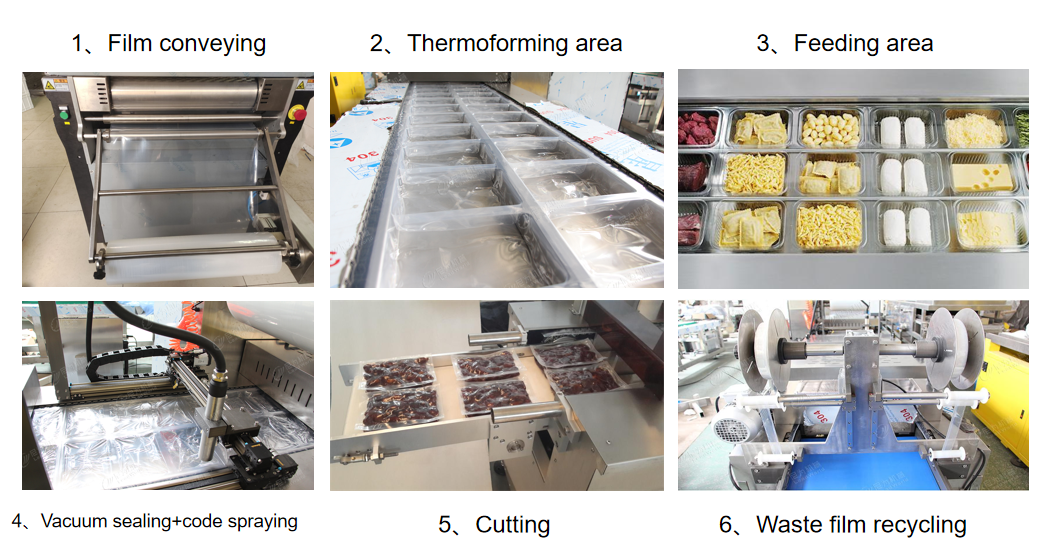 Sausage Meat Packing Machine Sandwich Fruit Film Vacuum Thermoforming Packaging Machine