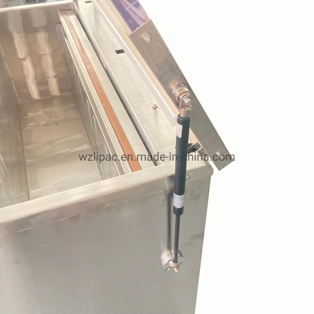 Electrical Control Packing Sealer Single Chamber Vacuum Packaging Machine for Sale Electric