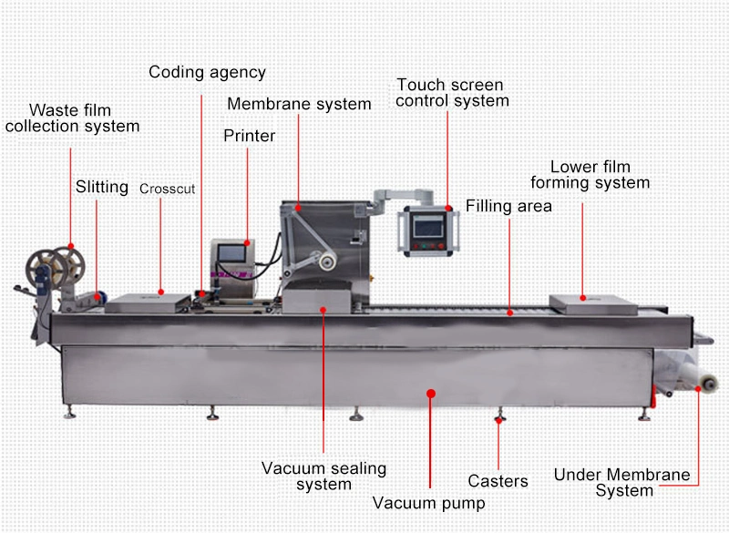 Fully Automatic Modified Atmosphere Filling Nitrogen Filling Tray Thermoforming Fresh Lock Packaging Machine