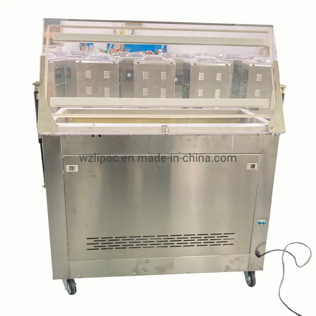 Electrical Control Packing Sealer Single Chamber Vacuum Packaging Machine for Sale Electric