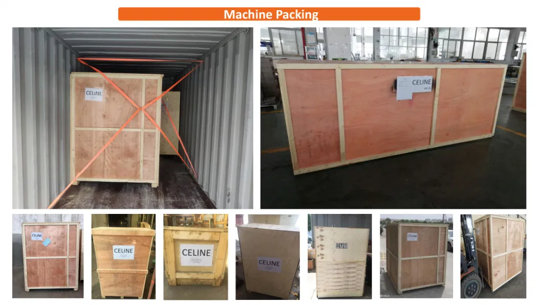 High Speed Cheese Thermoforming Packing Packaging Equipment Machine for Food