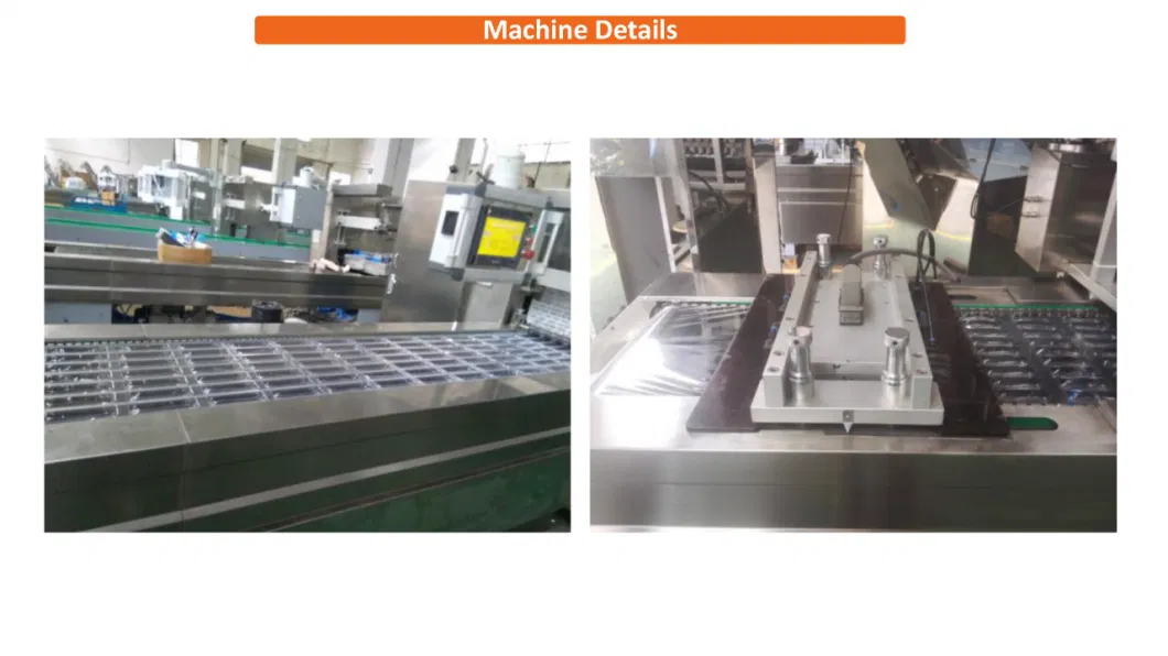 Automatic Fresh Pizza Thermoforming Vacuum Packaging Packing Machine