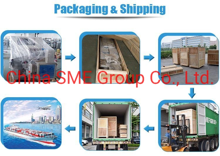 Automatic Servo Lunch Meal Box Heat Shrink Film Flow Pillow Wrapping Packing Machine with Feeder