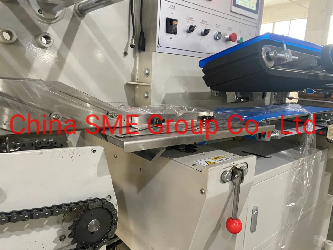 Automatic Servo Lunch Meal Box Heat Shrink Film Flow Pillow Wrapping Packing Machine with Feeder