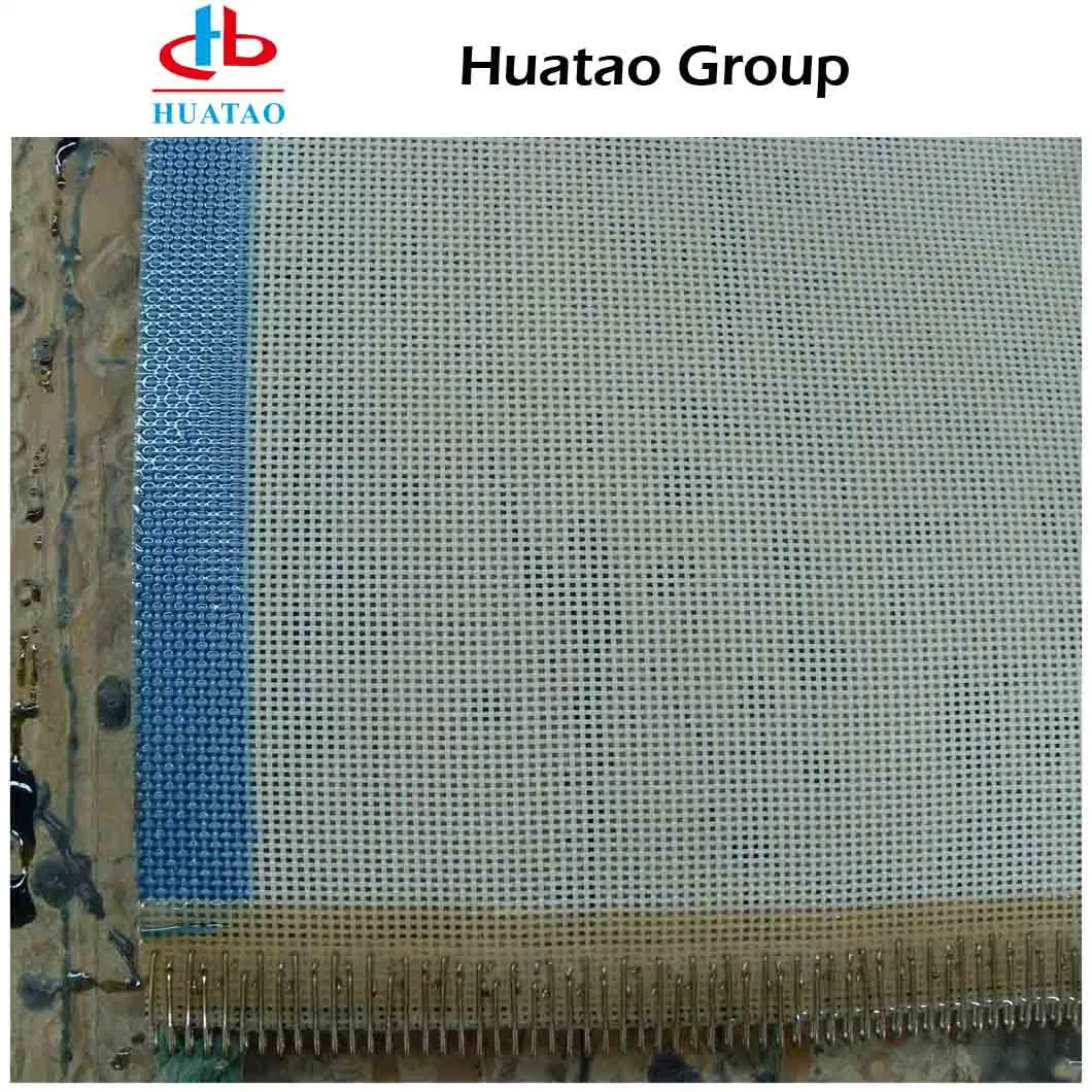 White, Blue Ht Polyester Dry Mesh Food Industry Screening Plain Weave Fabric with High Quality