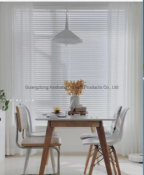 High Quality Factory Directly Sale Aluminum Alloy Track Luxury Electrophoresis Process Aluminum Blind Blackout Waterproof and Dust Proof Curtain Blind