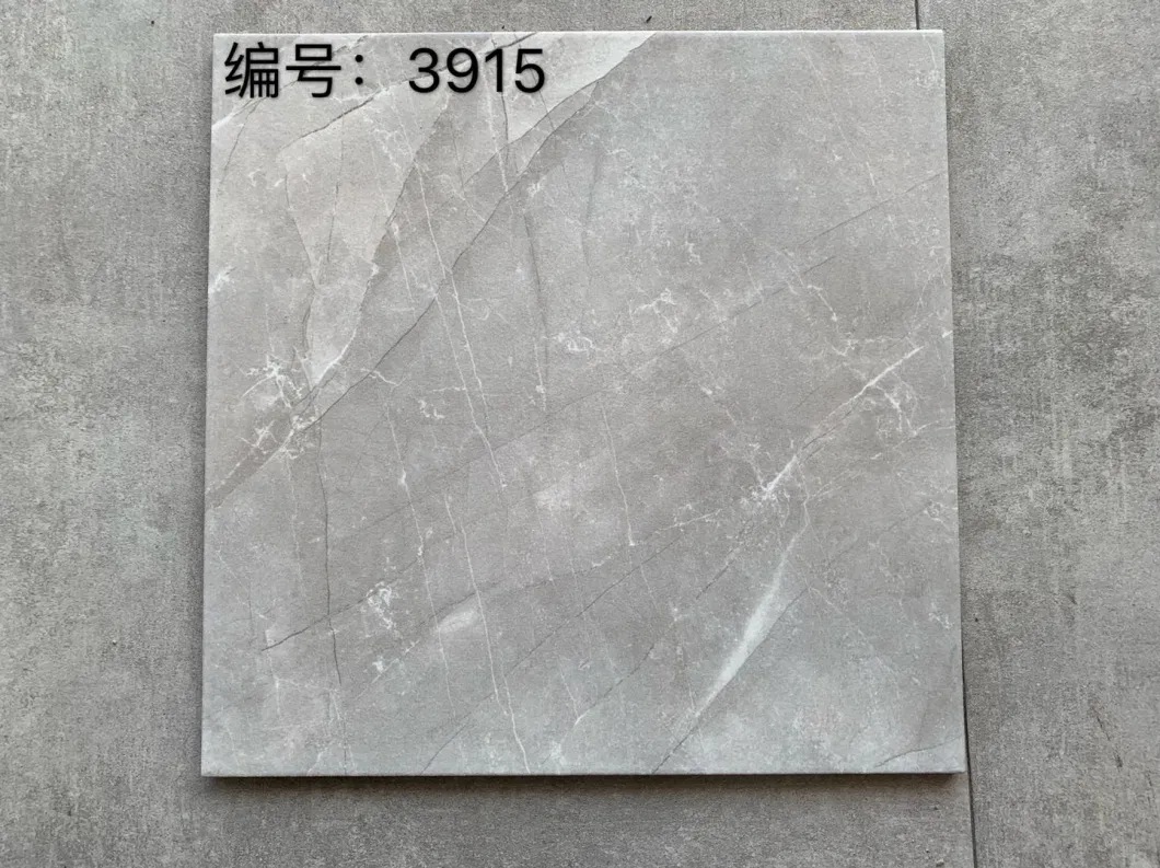 Commercial Item Modern Style 300X300 Rustic Ceramic Tiles in Matt Wall and Floor Tiles