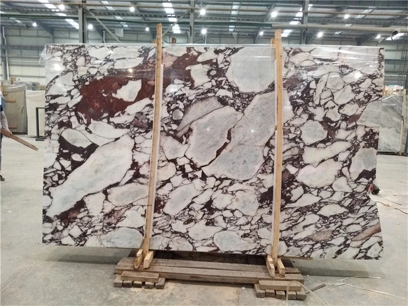 Caracatta Marble Countertop Natural Luxury Stone Marble Tea Table Panel Background Wall Marble Slabs Tiles