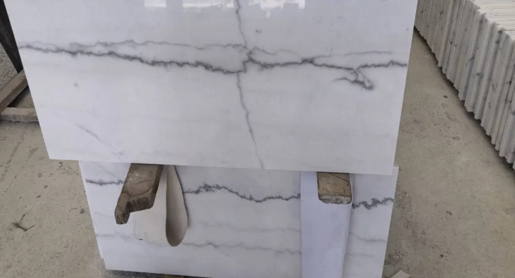 Competitive Price China Bianco Carrara Marble Tile for Floor/Wall/Kitchen/Stair Area Decoration