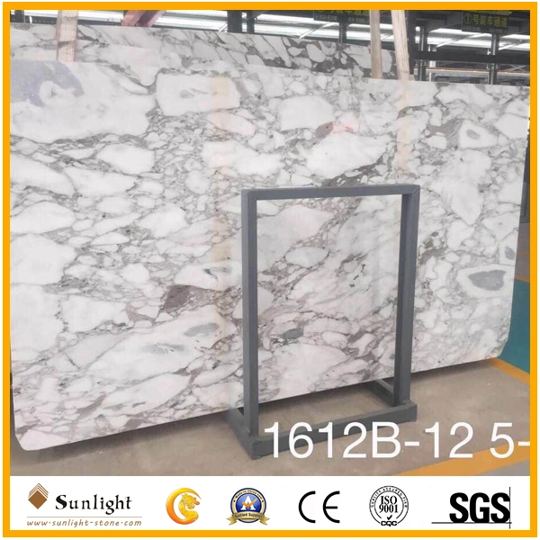 China Cheap Arabescato White Marble, Marble Tiles and Marble Slabs