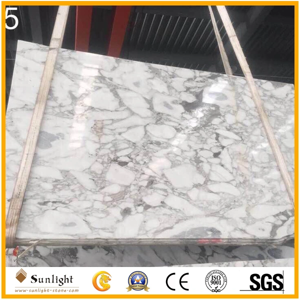 China Cheap Arabescato White Marble, Marble Tiles and Marble Slabs