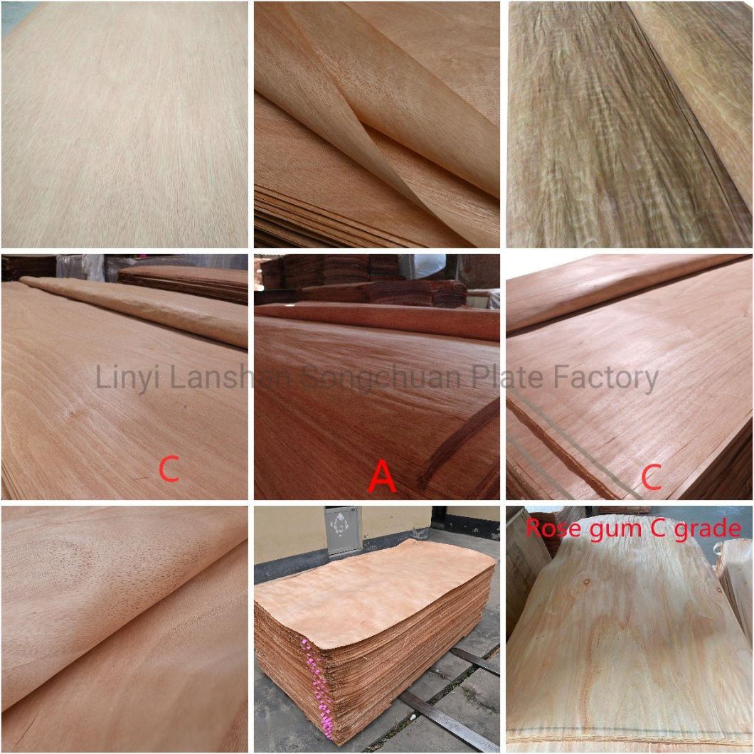 Okoume Bintangor/Poplar Dark Wood Veneer High Quality Walnut Wood Veneer