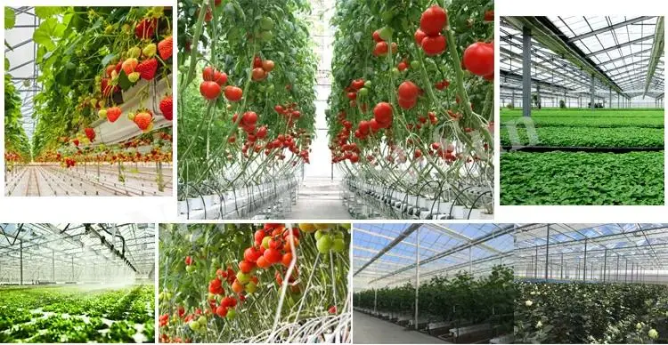 PVC Tiled Hydroponic Indoor Hydroponics Grow Tent Nft Garden Irrigation Greenhouse System