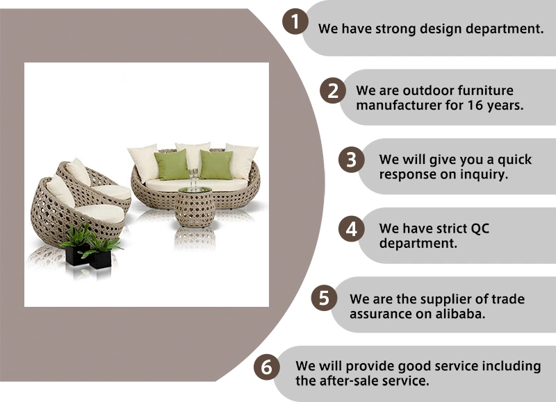 Villa Hotel Garden Furniture Rattan Sofa Set