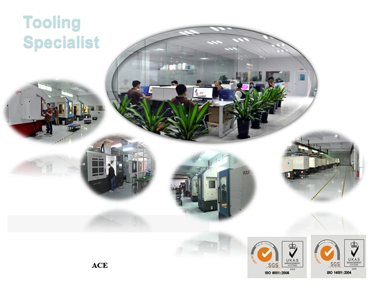 Dongguang Ace Top Quality Injection Molding Service Silicon