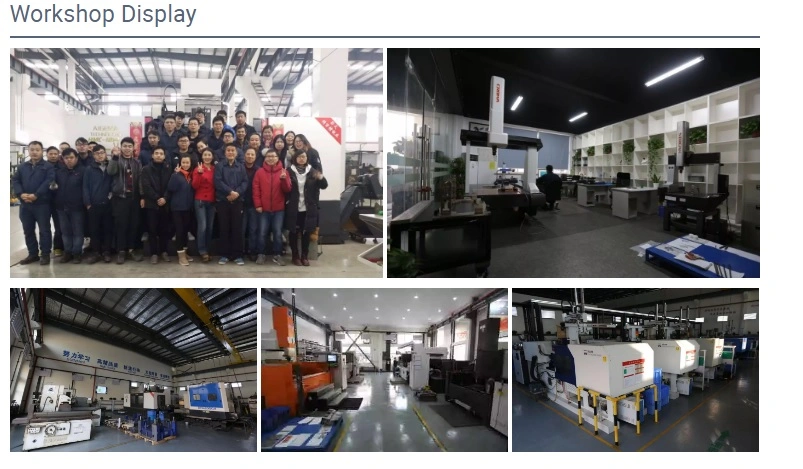 OEM Plastic Injection Molding Free Prototype Chinese Manufacturer