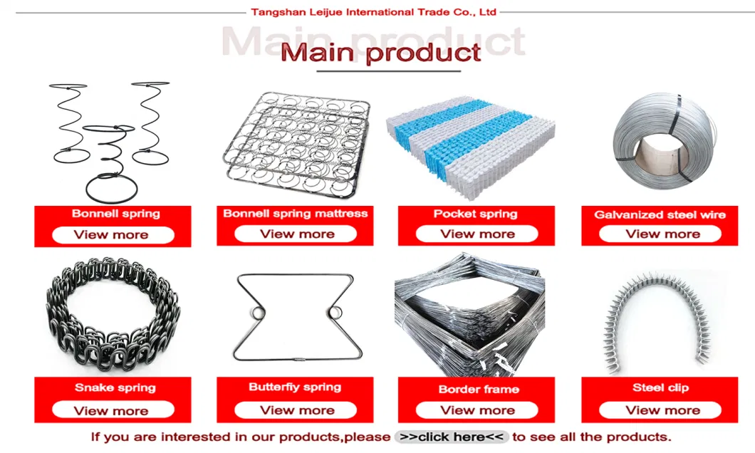 Manufacturer Custom Steel Wire Form S Snake Shape