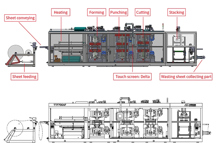 Fully Automatic Square Steel Structure Vacuum Thermoform Verpackungsmaschine Box Machineress with Mould