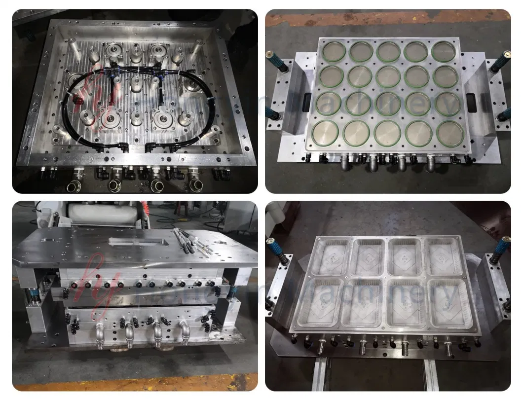 Plastic OPS Clear Container Mould for Daba Litai Gn Plastic Thermoforming Machine