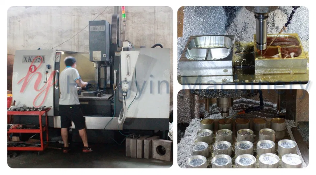 Plastic OPS Clear Container Mould for Daba Litai Gn Plastic Thermoforming Machine