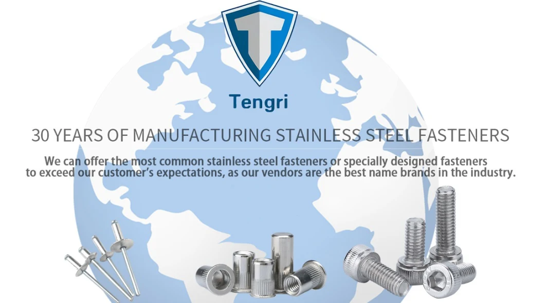 Specialized in Non-Standard Fasteners Bolt and Nut