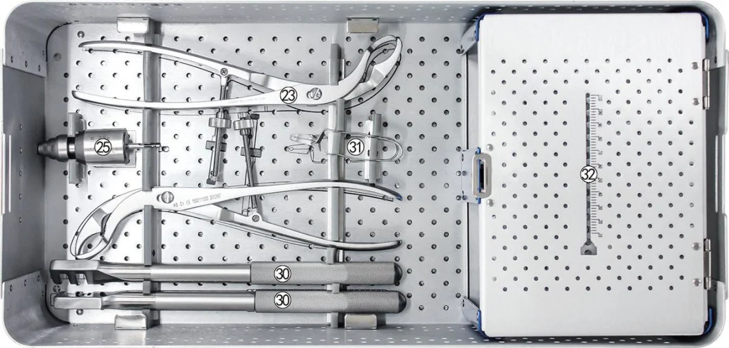 Medical Orthopedic Surgical Equipment Implant Full Set for Large Bone Loc System Manufacture