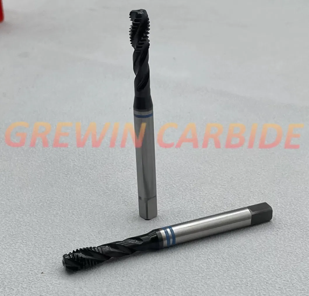 Gw-Wholesale Price DIN371/376 Hsse Sprial/Straight Flutes Thread Machine Taps for Drilling Hole